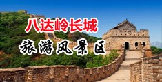 男女日逼视频wwwww中国北京-八达岭长城旅游风景区